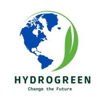 hydrogreen.millennialbizhub.com